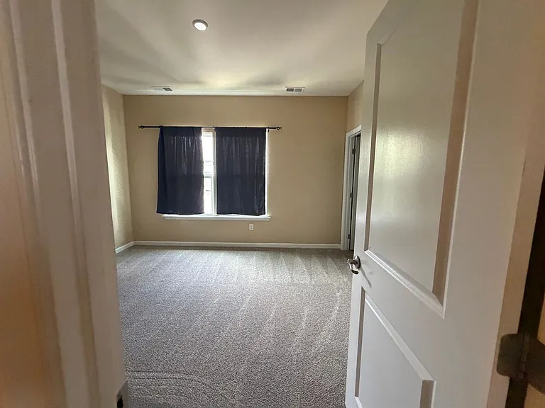 4376 Pickney Ln — Photo 10