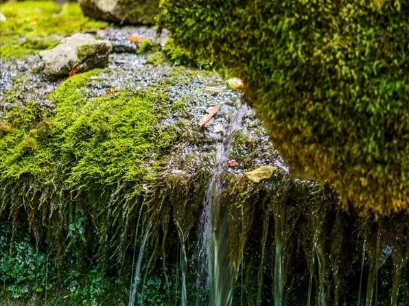 0 Burks Hollow Rd, Christiana, TN 37037