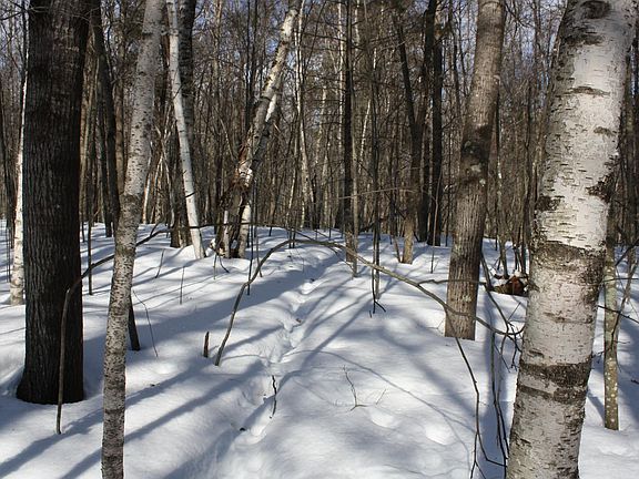 4th image of On West Rapids Rd