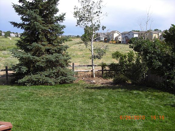 Backyard view