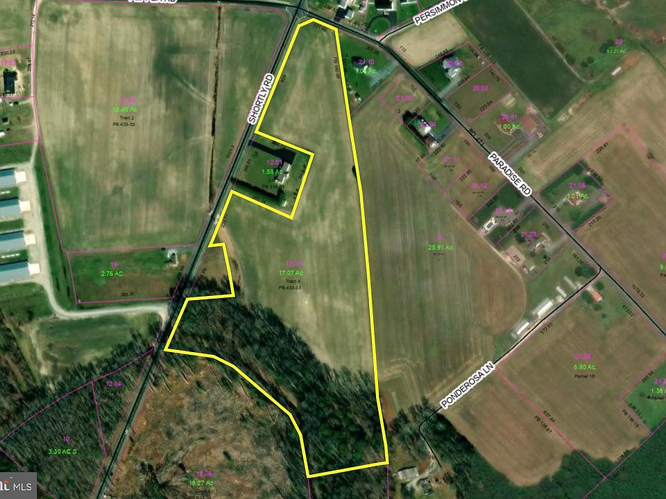 2nd image of 17.082 Ac Tract #4
