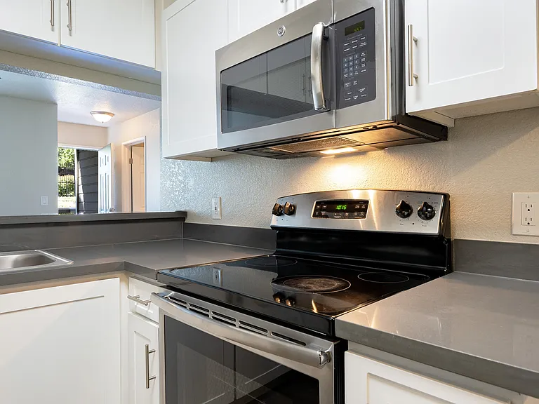 Shadow 410F kitchen2 (1)