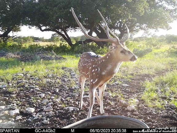 3rd image of 85+/- ACRES County Road 220
