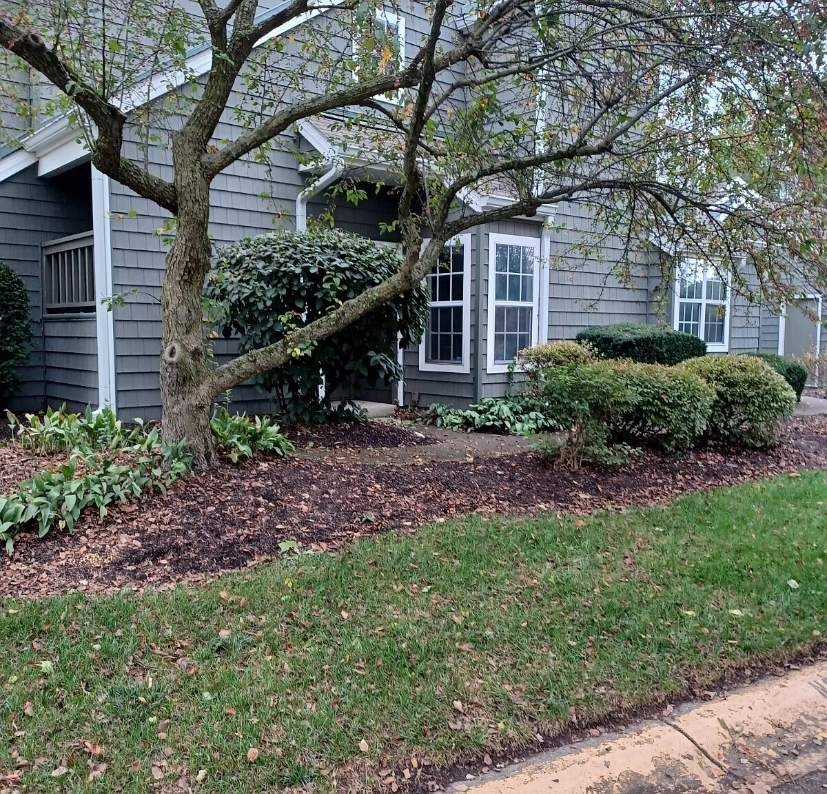 2 bed, 1.5 bath, 890 sqft, $1,595 — Photo 1