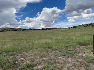49 County Road 5337, Concho, AZ 85924