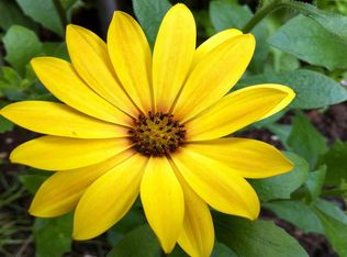 9240 Rosehill Rd APT 4, Lenexa, KS 66215