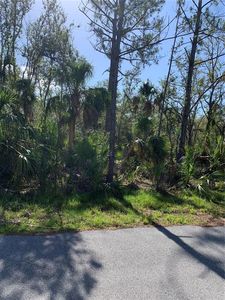 376 Munoz St #20, Pt Charlotte, FL, 33953