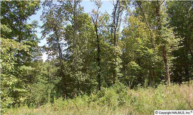 2nd image of 377 S Green Mountain Rd