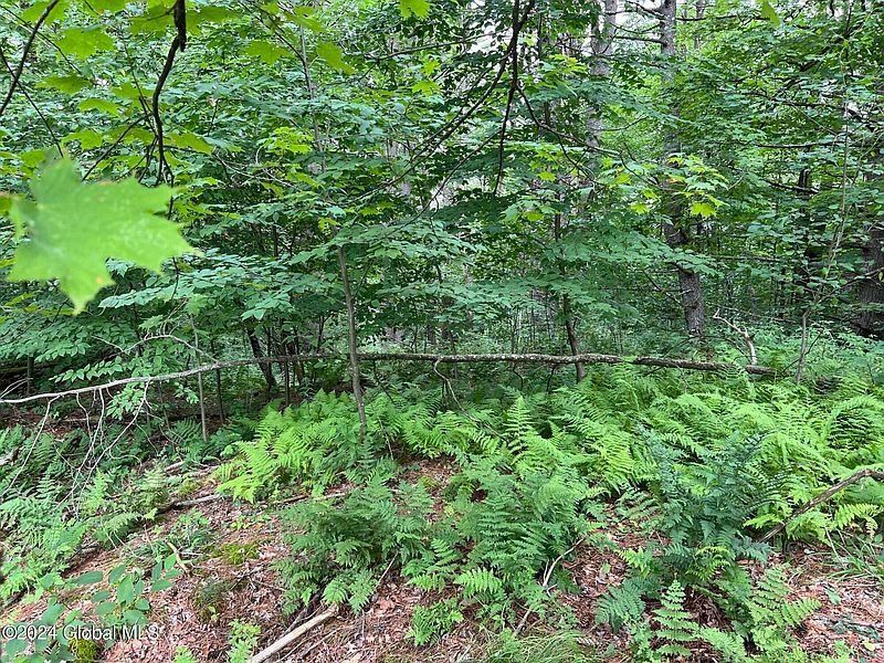 4th image of L7.1 NY-22A