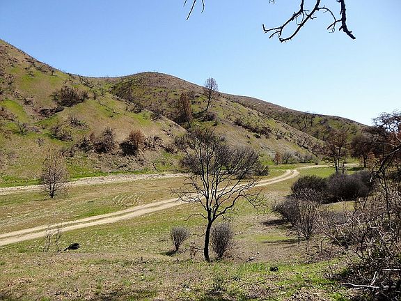 2nd image of 36010 San Antonio Valley Rd