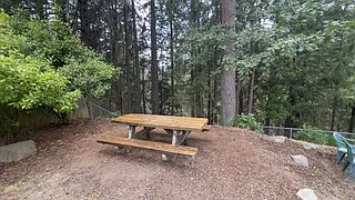 1739 Holiday Ln — Photo 31