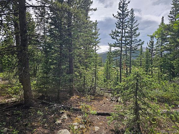 4th image of 316 Gold Trail
