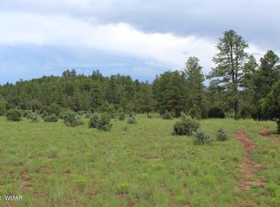 9801 Porter Mountain Rd, Lakeside, AZ 85929