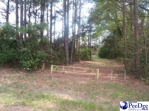 LOT 2 Easy St, Hartsville, SC 29550