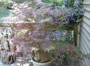 20 Joneswood Dr, Athens, OH 45701