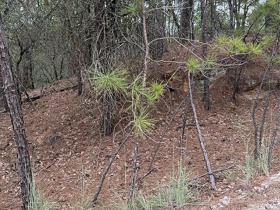 2nd image of LOT 214 Hekili Dr