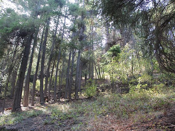 4th image of Nna Pine Cliffs Ave Lot 33