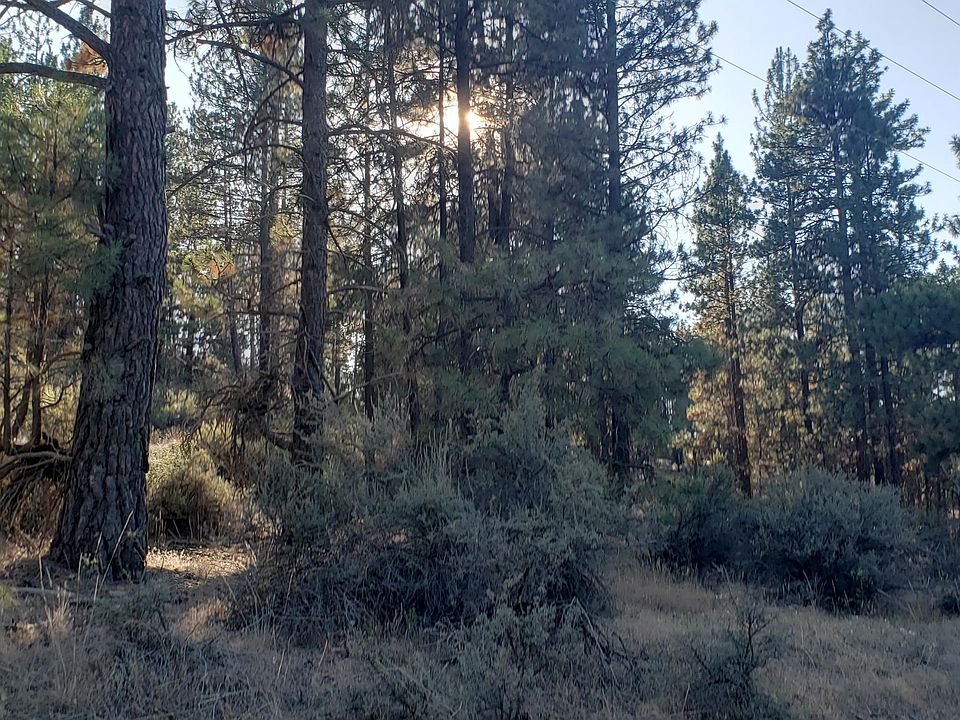 1st image of 15 Teal Dr