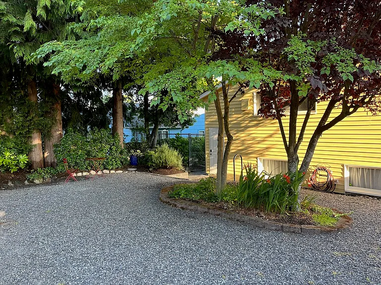 Low maintenance back yard
