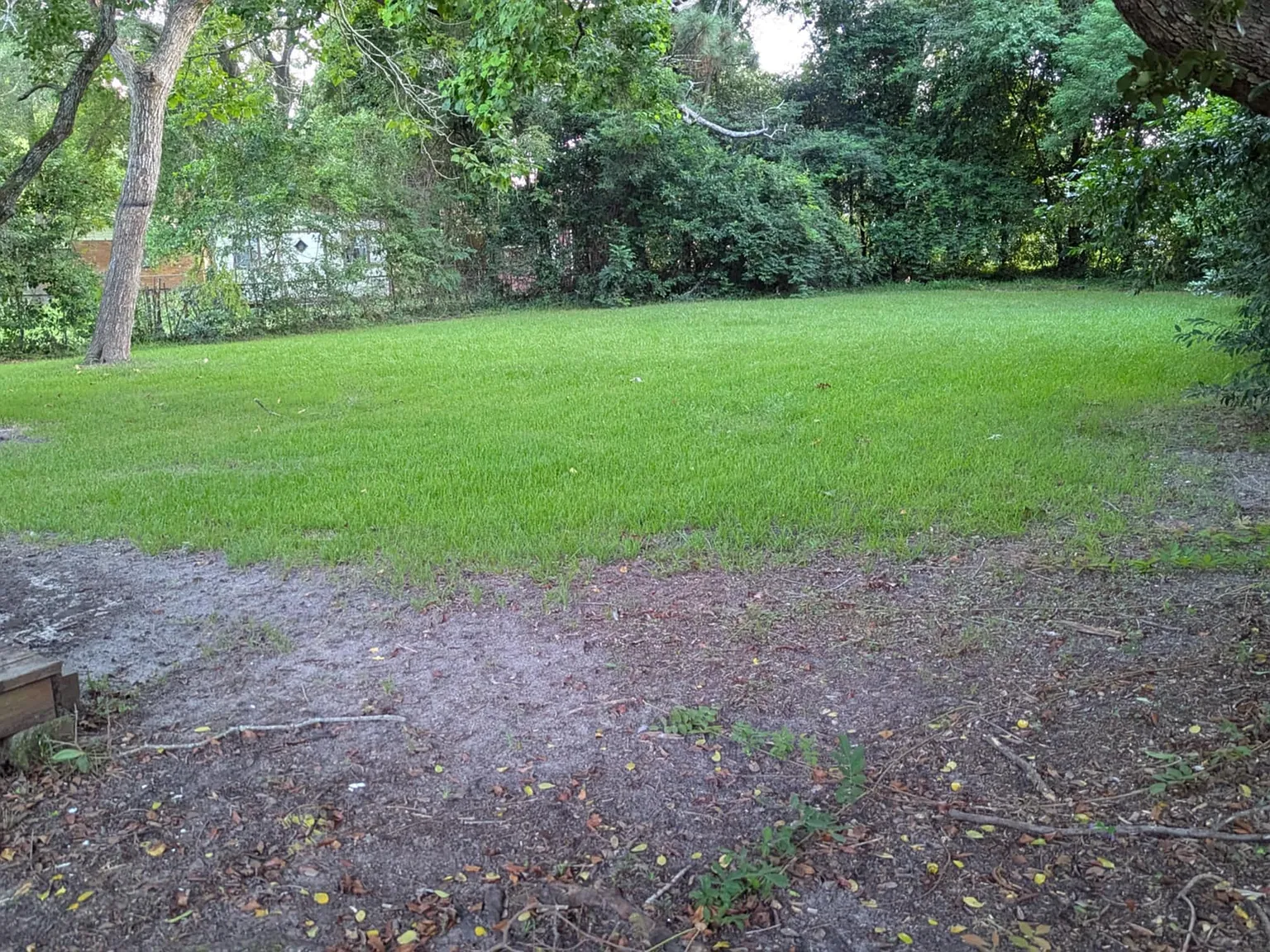 3 bed, 1000 sqft, $1,200 — Photo 3