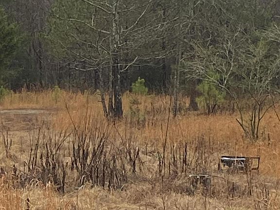 5th image of 105 Broyles Ln