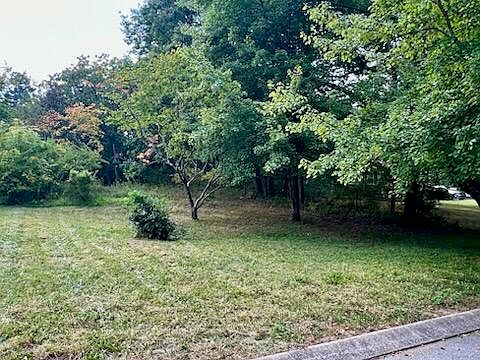 2nd image of 113 Bee Branch Blvd