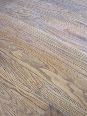 Rented by Bohemia Realty Group | media 15