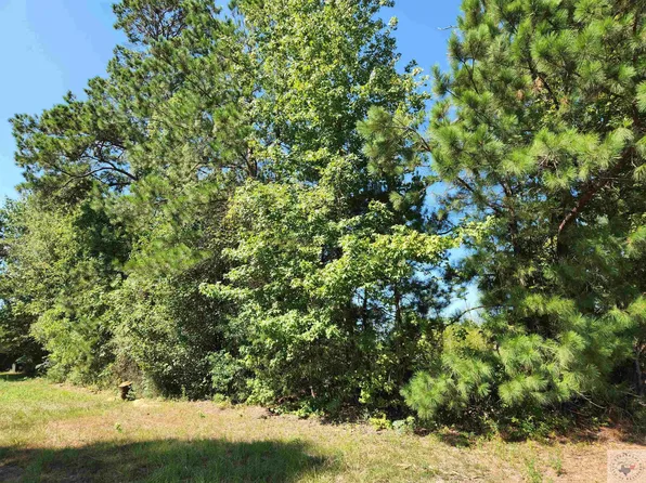 Sweetgum Cir, Bloomburg, TX 75556
