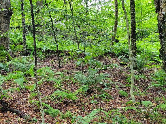 5th image of 00 Heartwellville View Road #38