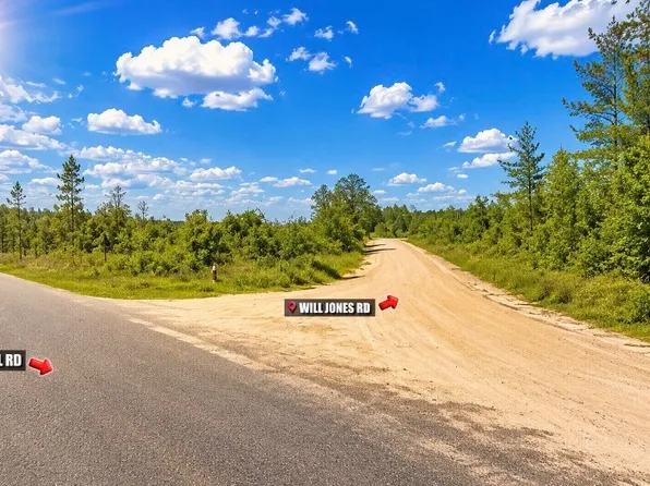 0 Will Jones Rd, Vinegar Bend, AL 36584
