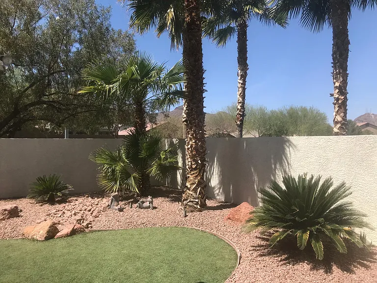 1169 Midori St — Photo 17