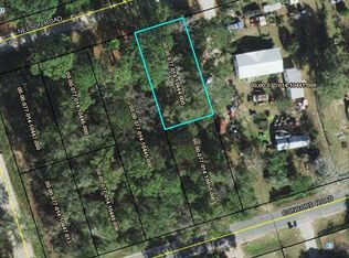 Nelson Rd, Crawfordville, FL 32327