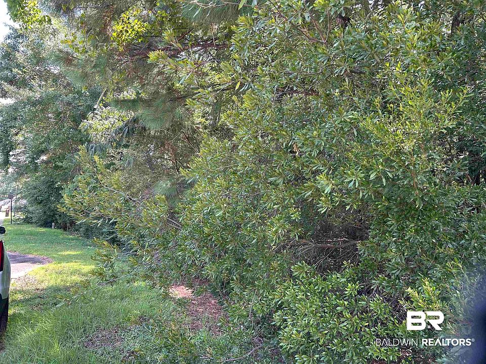 2nd image of Sweetbriar Ln