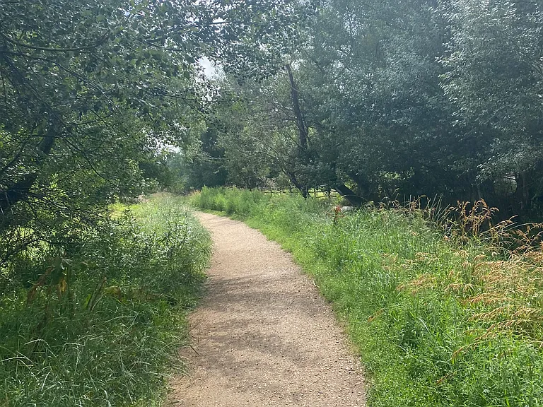 Underhill Dr — Photo 8