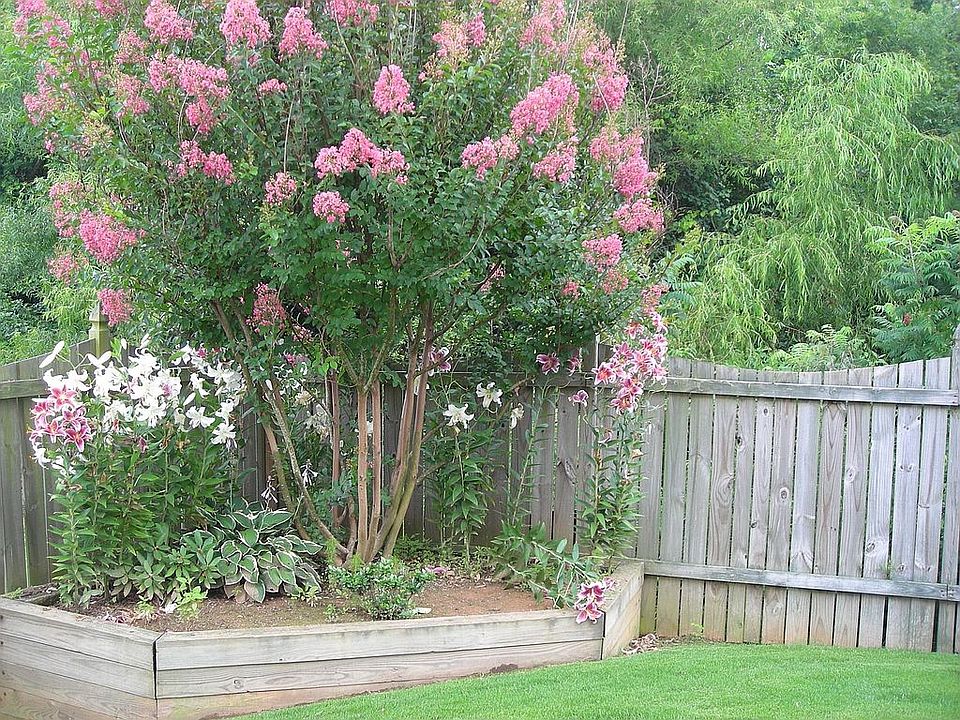 Back Yard Garden