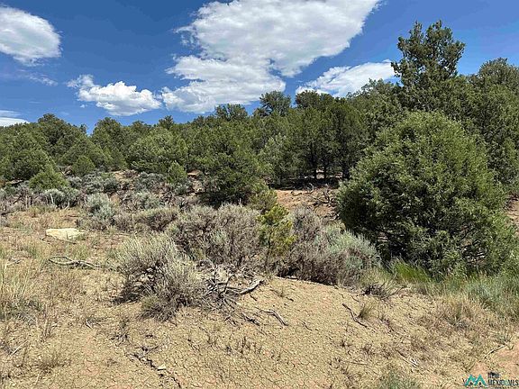 3rd image of Martingale Ln