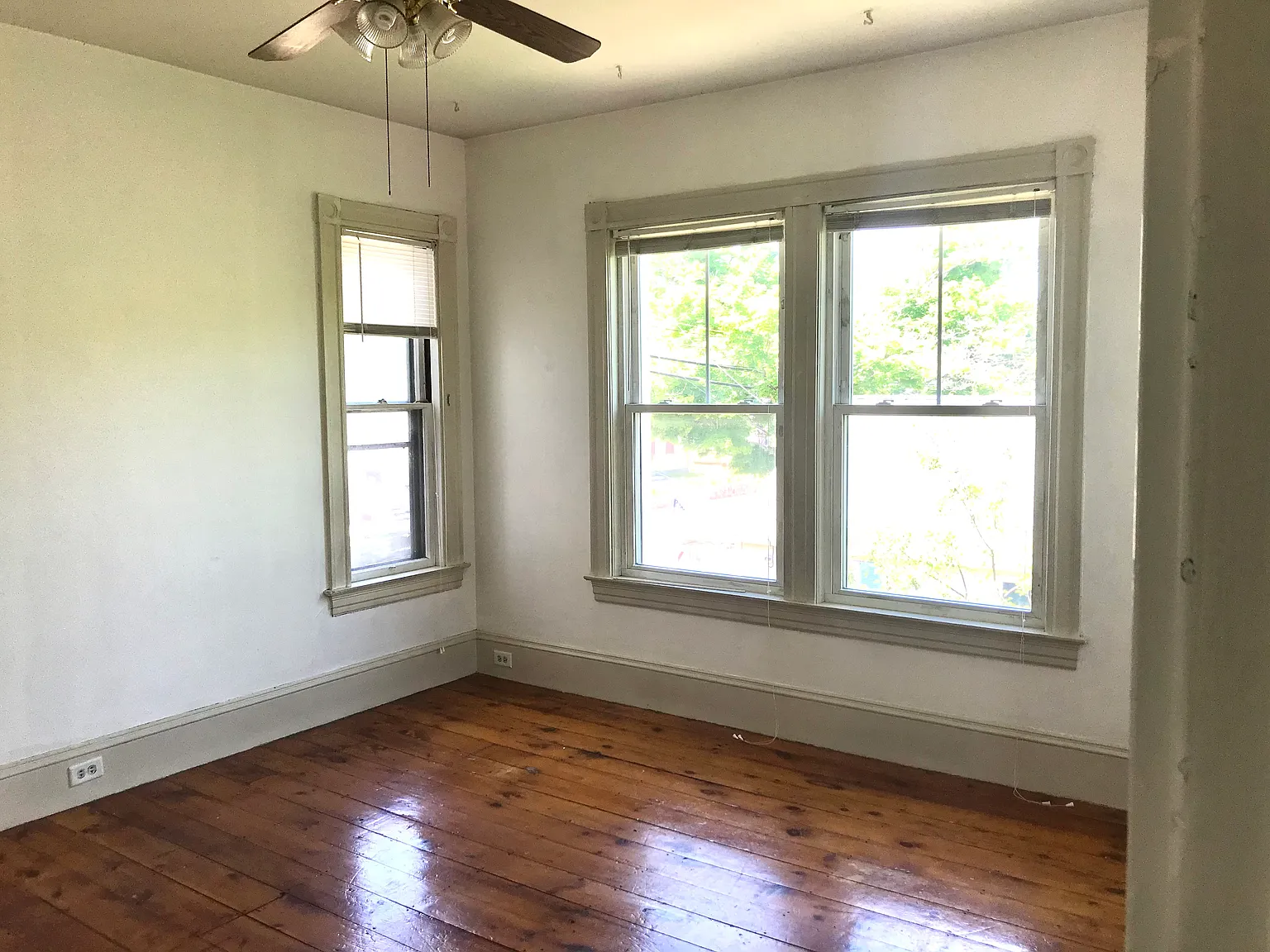 livingroom windows