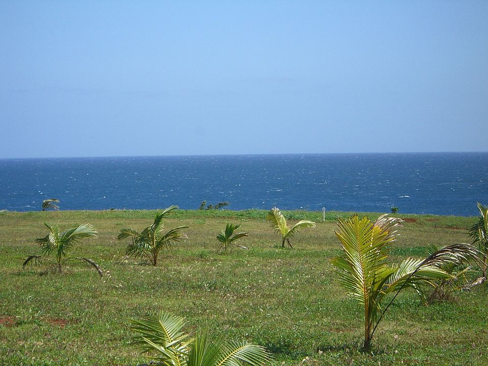 Ocean Bluff Acreage