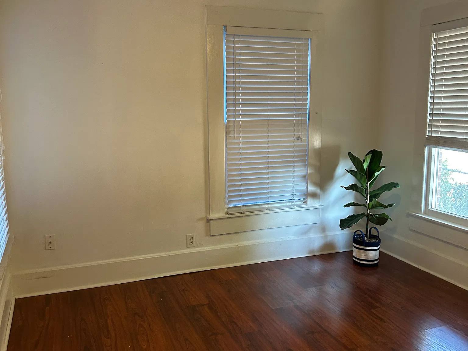 1 bed, 576 sqft, $1,450 — Photo 4