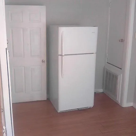 528 N Louisa Ave — Photo 5