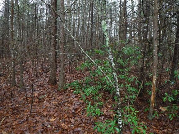 4th image of 3 Grace Ln Lot 27