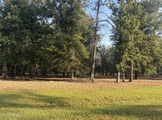 0 Shire Ave LOT 3, Forest, MS 39074