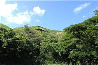 3rd image of 1368 Kehaulani Dr