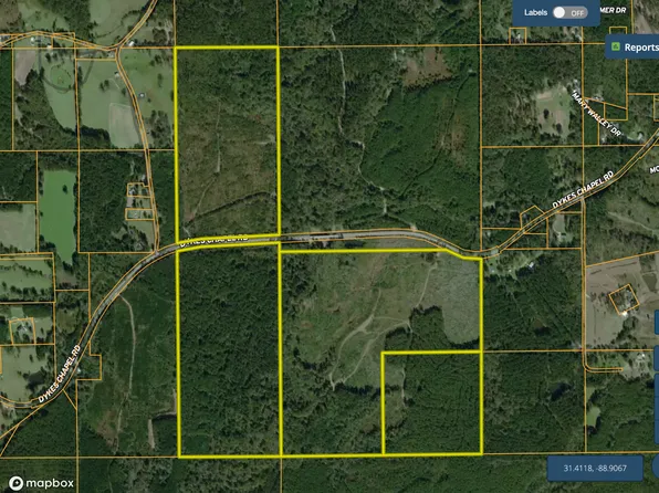 Dykes Chapel Rd Lot Wp001, Richton, MS 39476