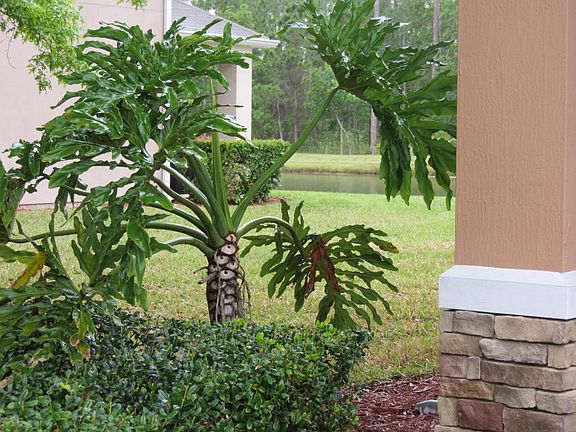 4th image of 5949 Pavilion Dr
