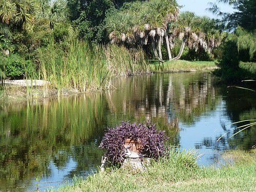 3rd image of 683 Emeril Ct