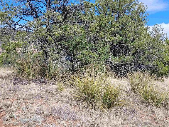 3rd image of Xx Moon Shadow