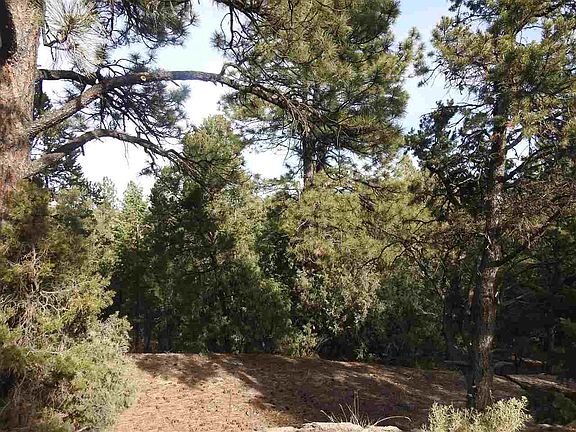 2nd image of 1289 N Summit Dr