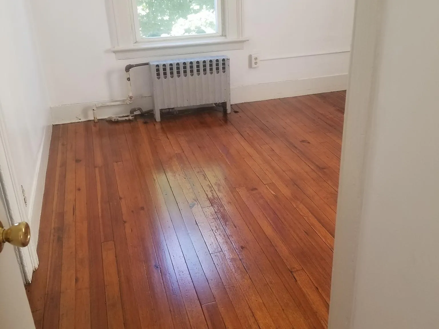 2 bed, $1,500 — Photo 3