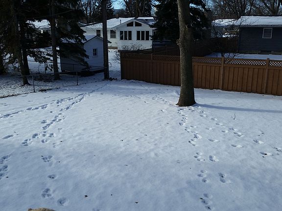 backyard 2_01232015